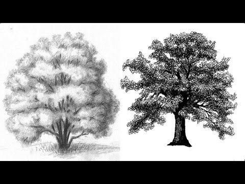Видео: КАК нарисовать ПЕЙЗАЖ с ДЕРЕВЬЯМИ карандашом