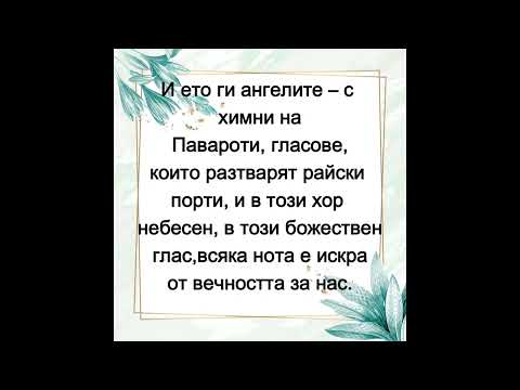 Видео: Днес е най хубавия ден