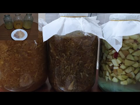 Видео: Ինչպես պատրաստել տնական խնձորի քացախ/Как приготовить яблочный уксус