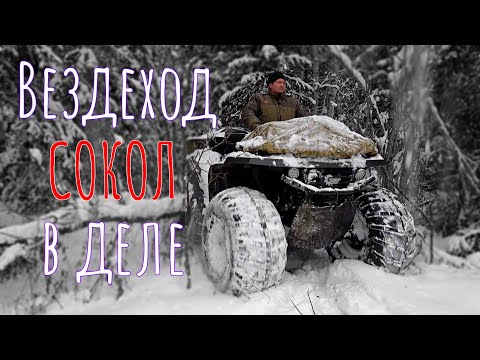 Видео: С охотником в тайгу на вездеходе СОКОЛ/Волки задрали собак/Поселение старообрядцев/Хариус со льда.