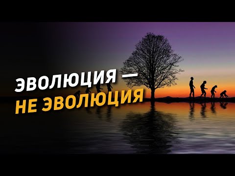 Видео: Эволюция — не эволюция. Ложь учёных