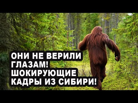 Видео: Снежный человек Сибири: правду скрывают 70 лет