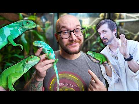 Видео: Лучшая домашняя рептилия — незаконна, но у меня все равно есть одна!