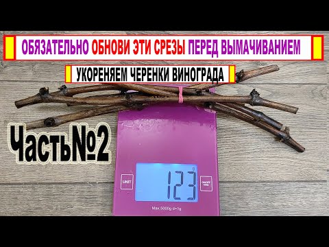 Видео: 🍇 Нужно ли ОБНОВЛЯТЬ СРЕЗЫ черенков винограда перед вымачиванием в воде? Как ЭТО делать ПРАВИЛЬНО!