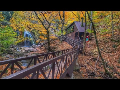 Видео: КРЫМ от которого можно сойти с ума! Золотая осень в горах. Водопад Джур-Джур.