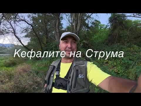 Видео: Кефалите но Струма 
