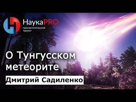 Видео: О Тунгусском метеорите | Метеоритика – Дмитрий Садиленко | Научпоп