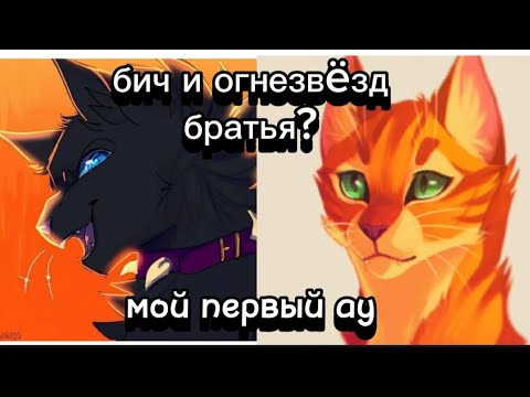 Видео: мой первый ау//бич и огник//братья//коты воители//моя больная фантазия)