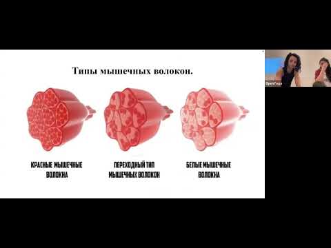 Видео: Типы мышечных волокон. Особенности иннервации.