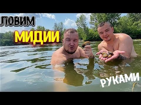 Видео: Ловим МИДИИ РУКАМИ / Много ЗМЕЙ / Река ДНЕПР