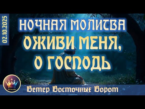 Видео: 🌜🛐🌛 НОЧНАЯ МОЛИТВА ✨🙏🏻🌙 ОЖИВИ МЕНЯ, О ГОСПОДЬ 🌜🛐🌛 + ХЛЕБОПРЕЛОМЛЕНИЕ