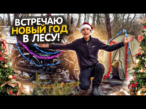 Видео: ☃️Встречаю новый год в ЛЕСУ с альфой😜