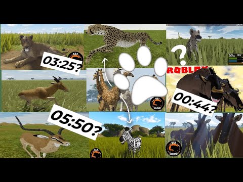 Видео: Как Быстро Тратиться Выносливость? Wild Savannah (roblox)