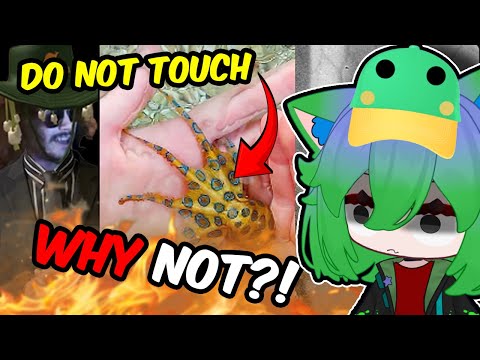 Видео: Открываем ЕЩЁ БОЛЬШЕ УЖАСОВ Австралии | More Parz React