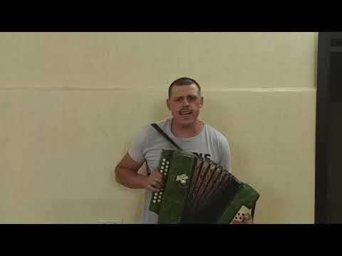 Видео: Любимой песню я пою. Под гармонь. От деревенского самородка.