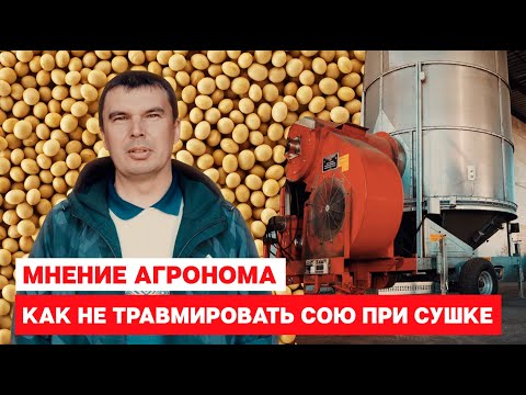 Видео: Как не травмировать сою при сушке. Мнение агронома.