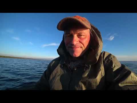 Видео: рыбалка с лодки в Зеленогорске. Окунь. Плотва. Лещ. Густера. Сырть и др.