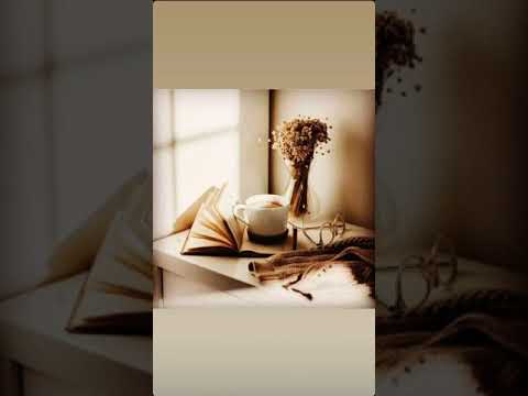 Видео: Градуси - режиссёр slowed