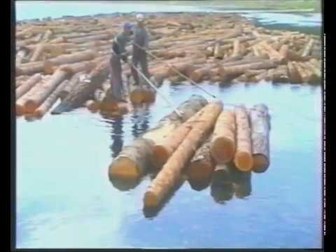 Видео: Документальный фильм "Из истории Проспихинского леспромхоза"