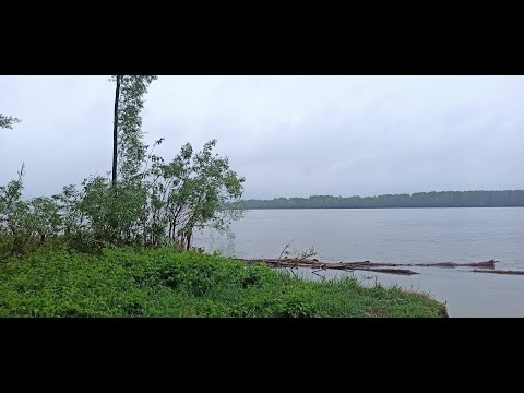 Видео: Открытие рыбалки в Нижнем Сузуне с 10 по 12.06.2023г.