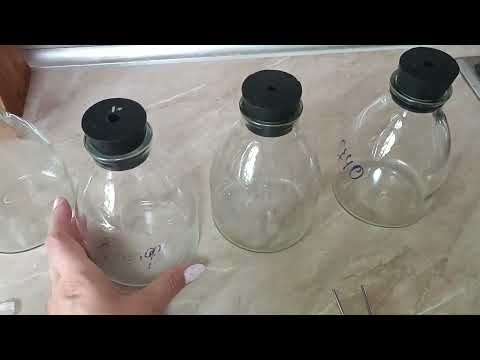 Видео: Варка питательной среды для посева семян орхидей💦🧪Сапфир и цветонос🌿😊