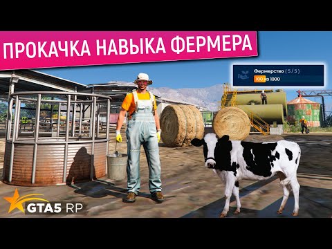 Видео: КАК БЫСТРО ПРОКАЧАТЬ НАВЫК ФЕРМЕРА В GTA 5 RP? БЫСТРАЯ ПРОКАЧКА НАВЫКА ФЕРМЕРА В ГТА 5 РП!