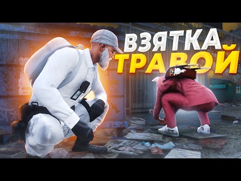 Видео: КОП ВМЕСТО ВЗЯТОК БЕРЁТ ТРАВУ в GTA RP / MAJESTIC RP