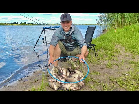 Видео: Не успіваю закидать! Кльов як на Чорних Камнях! На що краще клює лящ?