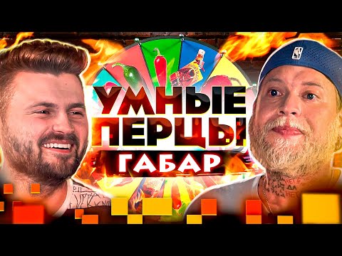 Видео: Габар на шоу Умные перцы / Самые ОСТРЫЕ вопросы про шоу Ивлеевой, Беларусь и Жгучий Баттл