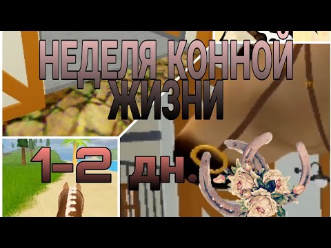 Видео: НЕДЕЛЯ МОЕЙ КОННОЙ ЖИЗНИ! [1-2 день] 1 часть.
