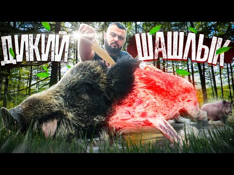 Видео: ДИКИЙ ШАШЛЫК❗❗❗ КАБАН - МАНГАЛ!