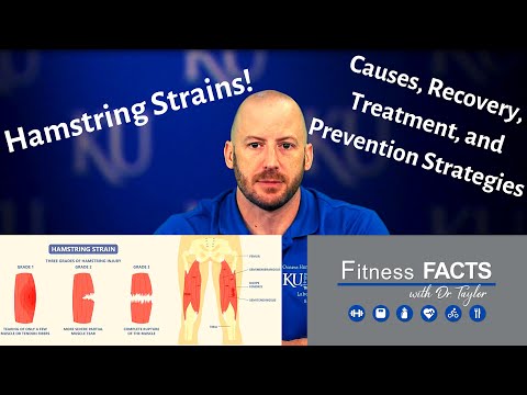 Видео: Растяжения подколенного сухожилия: механизмы травмы, факторы риска, восстановление, лечение и стр...