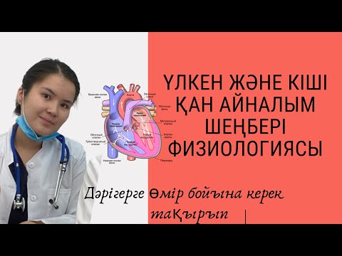 Видео: Үлкен және кіші қан айналым шеңбері қарапайым түсіндірме. Жүрек қан тамыр жүйесі.