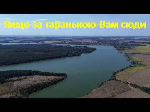 Видео: Якщо Вам треба таранька-Вам сюди на Буг(Новоселівка). Огляд місць.