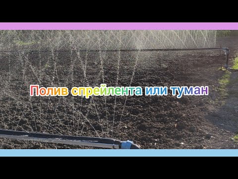 Видео: Полив туман/полив спрей лента/ обзор лучшего полива.