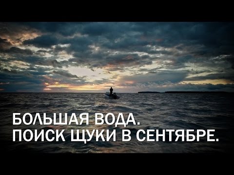 Видео: Рыбалка на Чебоксарке. В поисках трофейной щуки.