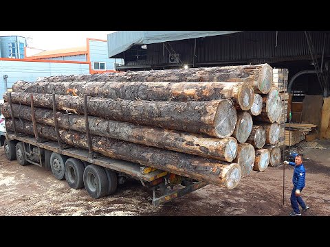 Видео: Самые популярные видео 2023 года! Отличные производственные процессы в КорееТОП 10