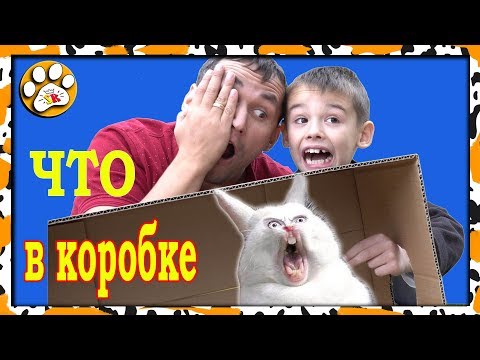 Видео: Челендж  ОТГАДАЙ что в коробке  ОСТОРОЖНО опасно 😁😁😁