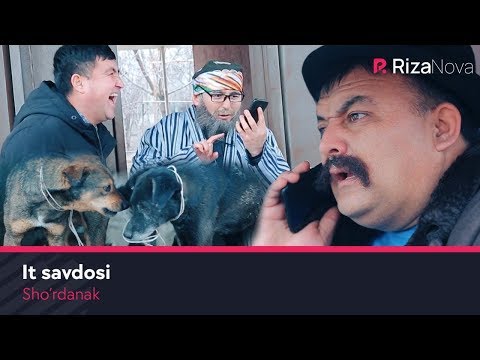 Видео: Sho'rdanak - It savdosi | Шурданак - Ит савдоси (hajviy ko'rsatuv)