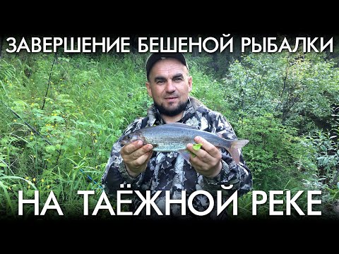 Видео: ЗАВЕРШЕНИЕ БЕШЕНОЙ РЫБАЛКИ НА ТЕЖНОЙ РЕКЕ