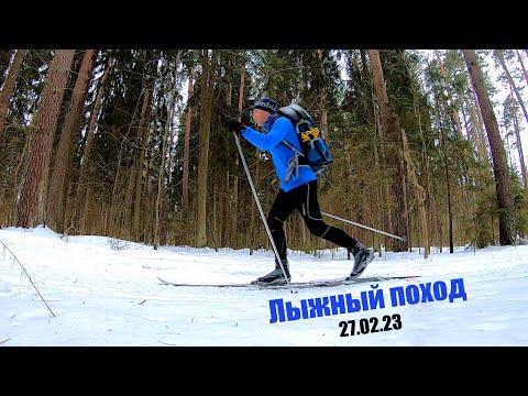 Видео: Лыжный поход| Разбиваю лагерь в зимнем лесу | Жарю мсяо