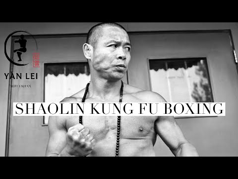 Видео: Шаолиньский бокс кунг-фу – сочетание древнего боя и современной силы!