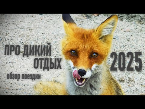 Видео: Краткий обзор большого путешествия 2025