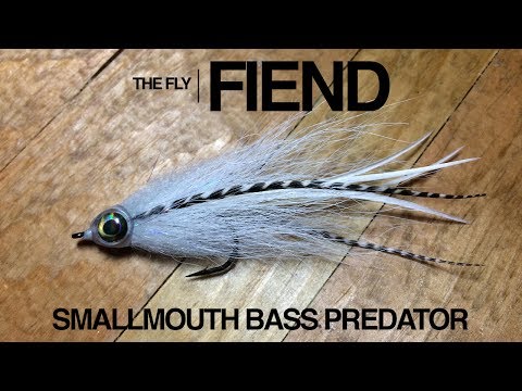 Видео: Учебное пособие по вязанию мушек Smallmouth Bass Predator X | The Fly Fiend