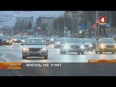 Видео: ЖИЗНЬ НЕ УЧИТ