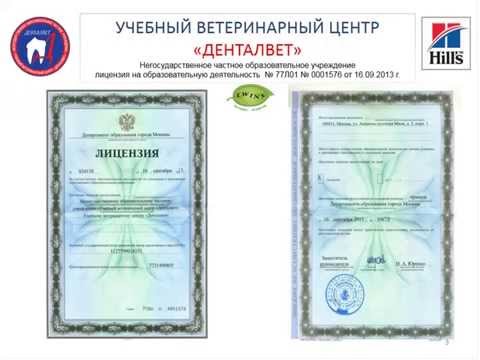 Видео: Вебинар: Порядок переоформления лицензии на фармацевтическую деятельность