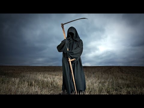 Видео: Как умирают нидерландцы. Один день из жизни зубного техника