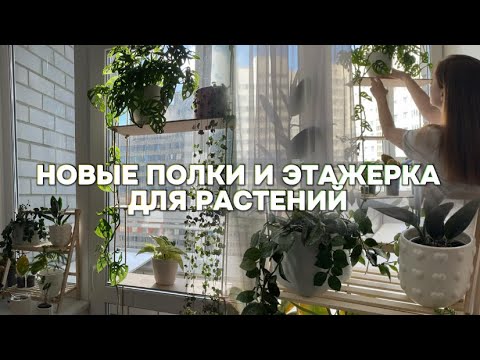 Видео: Новые полки и этажерка для комнатных растений