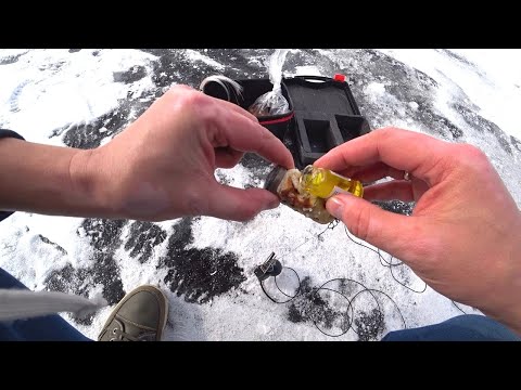 Видео: ОПУСТИЛ КАМЕРУ ПОД ЛЕД! Активатор ГОЛОДА манит Огромную Рыбу. Зимняя рыбалка. Рыбалка глухозимье.