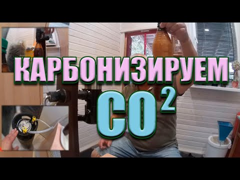 Видео: Розлив пива в кегу Корнелиус | Карбонизация СО2, оказалось все просто | Пиво без осадка!
